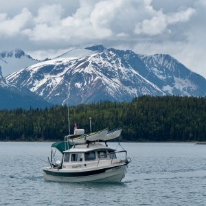 Silvertip on Atlin Lake.