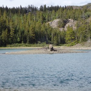 Chicken Head reefs in Second Narrows.