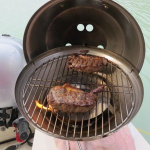 Bison Steaks, from our ranch, on the Magna Grill.