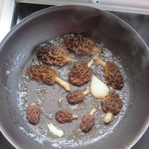 Moral Mushrooms