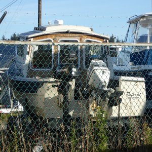 2016-07-05 Angler 22 Classic in Bellingham