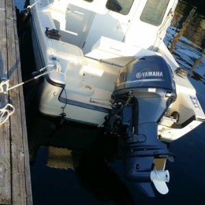 2016-08-04 Toland 18-8 at Shilshole, with Yamaha 70