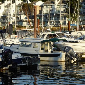 Green 22 Cruiser - Schooner Cover July 2017