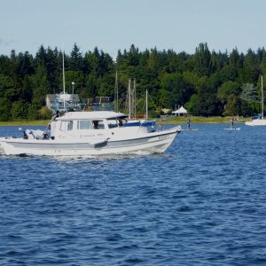 22 cruiser in Comox harbor July 2017