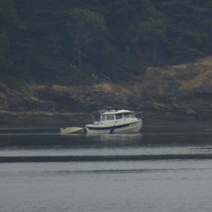 Foote's Rest spotted in Echo Bay. After taking this photo, they later motored over to say hi.