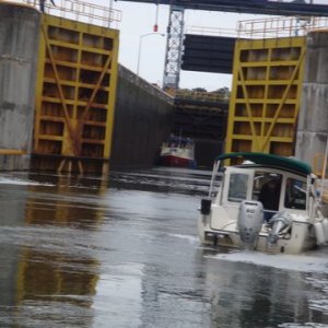 Lock 2 and 3 Seneca Cayuga Canal the second part of a 50'total lift and what is behind door number one? Steel Canal Rental boat. Time to move to the other side as to avoid playing bumper boats with one of these bruisers. We are going in he is coming out of this lock chamber