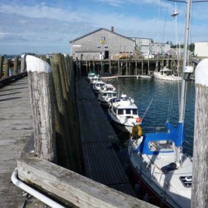 Will-C, Knot Flying,Cresent Girl, Island Trade,Hunky Dory,Widget and Alma's Only were on the docks just outside the picture. Billing's Marine in Stonington Maine August 2010