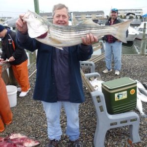 Fished Barnegat Inlet about a mile off the beach. Three of us caught twenty stripers tossed ten back. One nice sized bluefish in the mix. All the fish around thirty inches. most of mine jigged with a 5 oz. Krocodile chrome spoon in thirty to fifty feet of water. Water temps in the low fifties.