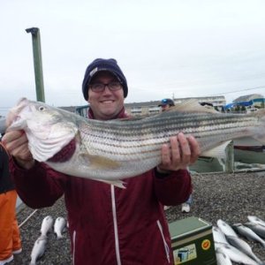 My son Robert with one of ten stripers we kept. Rainy drizzly morning back to the dock by noon. These fish will be around till Christmas or until the water temps hit the low forties or the bait leaves. Mostly sand eels some herring and bunker mixed in. Look for birds diving run and gun type fishing.
