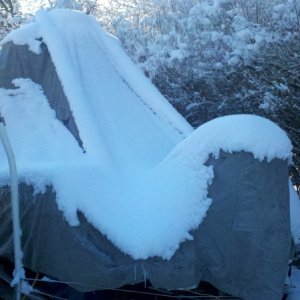 First snow just put the cover on Saturday Sunday the white stuff showed up. Feb in Florida is looking like a mighty good decision