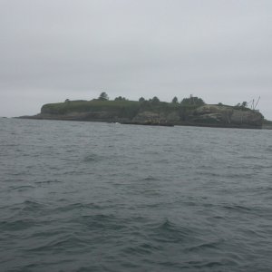 Tatoosh Island