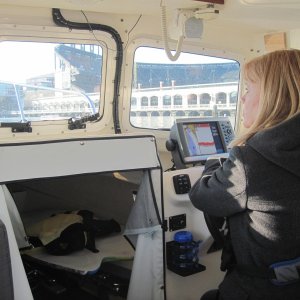 Admiral at the helm