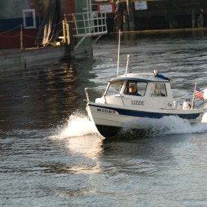 Media 'Lizzie welcomes CBGT lock cruisers!' in album 'Barry and Byrdman watch Lizzie buzz the lock cruise boat.'