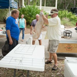 Yep, it was a pig in the cooler, and going into the box!