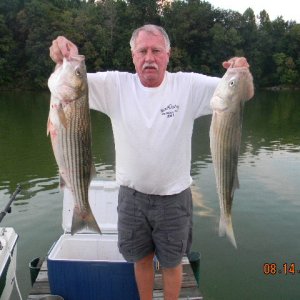Media 'New Pic.  Caught in Tenn.10-7-2012' in album 'New Pic.  Caught in Tenn.10-7-2012'