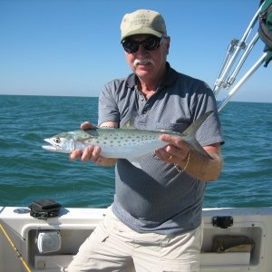 Media 'Fl. Spanish Mackerel' in album 'New Pic.  Caught in Tenn.10-7-2012'