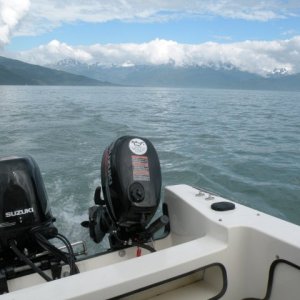 View of Taku Inlet from Stephens Passage