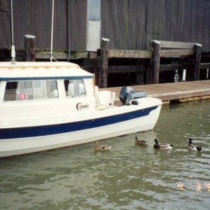 (C-Bill) Everything is Just Ducky !  (Delta)
