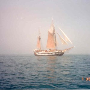 Media '(C-Bill) Time Warp in a Fog Bank - W. from Bodega Bay' in album '(C-Bill) Lake Tahoe - Out From Sand Harbor'