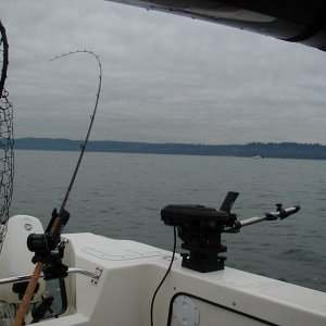 (C-Fisher)In Action