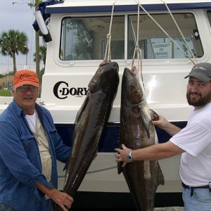 Media 'C-dory will raise fish' in album 'C-dory will raise fish'