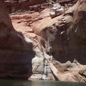 Media 'Mon 4/22 Small waterfall at the end of the left fork in Bowns Canyon' in album 'Fri 4/19 Somewhere between The Rincon and Oak Canyon'