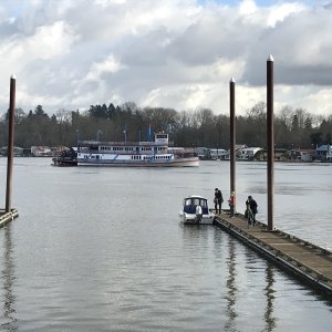 Media 'Paddle wheeler' in album 'Picking up C-Squirt at Sportcraft Marina, 2018'