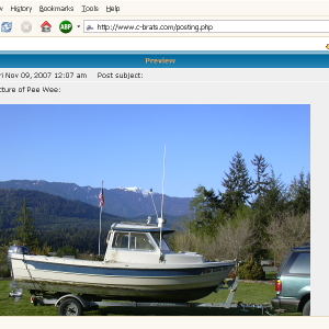 Media 'Picture in Preview' in album 'Copy Image Location'