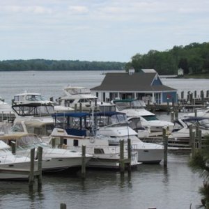 IMG 0185
