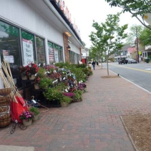 St. Michaels Maryland side walk