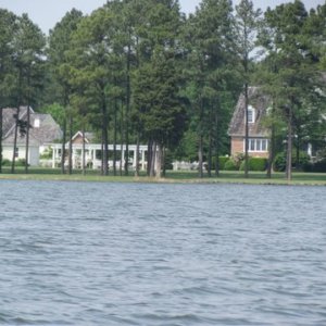 IMG 0341