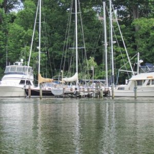Clements Creek off the Severn River