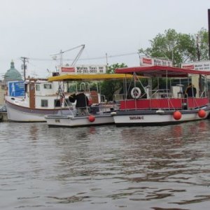 Water taxis Annapolis