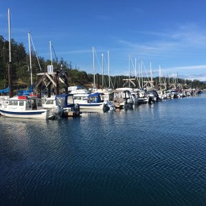 Friday afternoon H-Dock