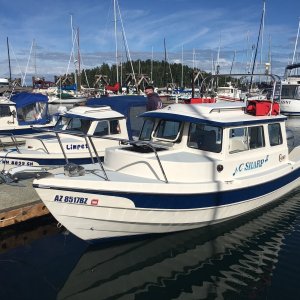 H1/H3 C-Sharp and Limpet