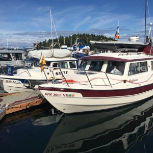 H25/H27 - Daydream and Salty