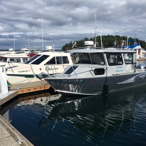 H29/H31 - Fly Aweigh and C-Maureen