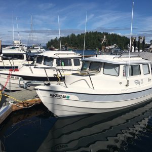 H37/H39 Big-C and Agostino
