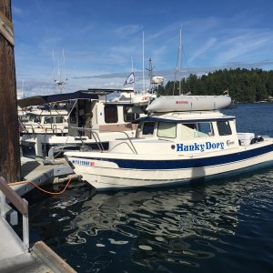 H49/H51 a Hunky Dory and Ranger tug