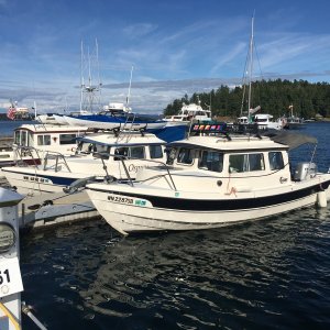 H53/H55 - Foote's Rest and Osprey