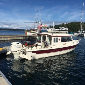 H57- Sea Cup
