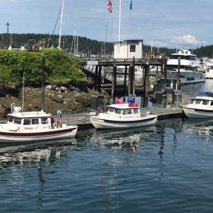 Media 'Roche Harbor Fuel Stop' in album 'Friday afternoon H-Dock'