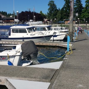 C-Dorys in Poulsbo