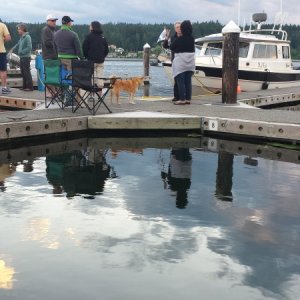 C-Brat reflections