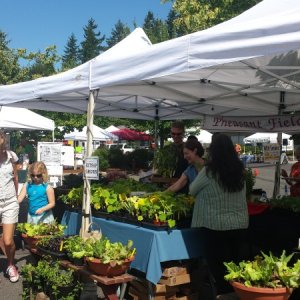 Poulsbo Farmers Market