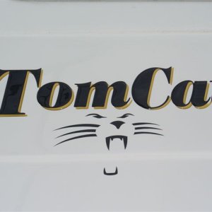 New CAT in Town!!