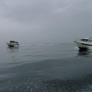 Media 'C-Dancer & C-ya in fog at Skagit Bay' in album 'Finally, some running shots, courtesy of "Oldgrowth" Dave - 7/23/07 - Bellingham to Seattle - THANKS DAVE!'