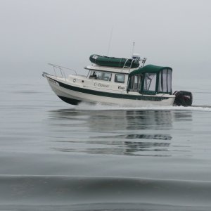 Media 'Foggy but the water was glassy' in album 'Finally, some running shots, courtesy of "Oldgrowth" Dave - 7/23/07 - Bellingham to Seattle - THANKS DAVE!'