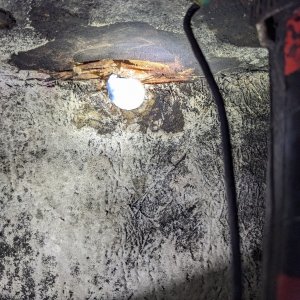 Media '' in album 'Damage to Tank Vent Hole'