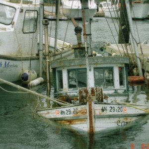 Media '{R/J}: Sonja underwater' in album '{R/J} Catch of the day!
Jack & his fish with dad Jeff Messmer
(FaCDORY Guys).'